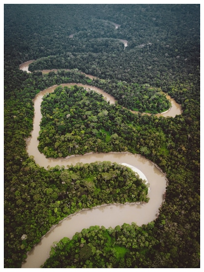 Explore lungs of Earth: 5 largest rainforests in the world