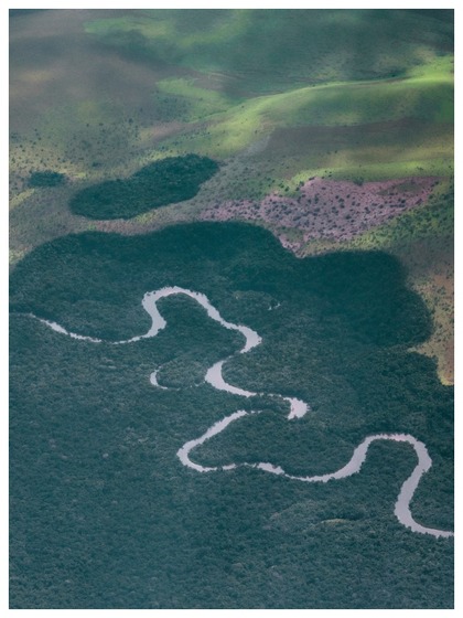 Congo Basin Rainforest