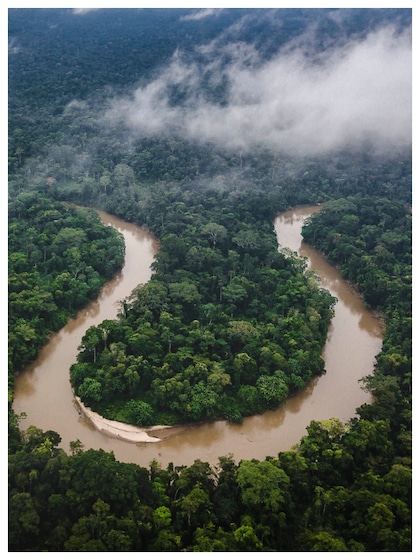 Amazon Rainforest