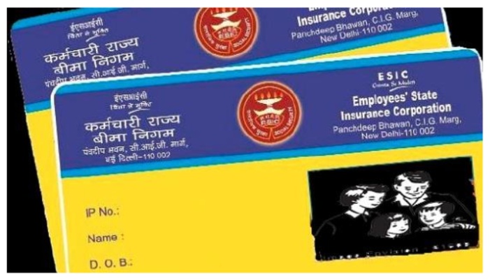 registered fake companies on ESI website and added employees to get fake e pehchan cards