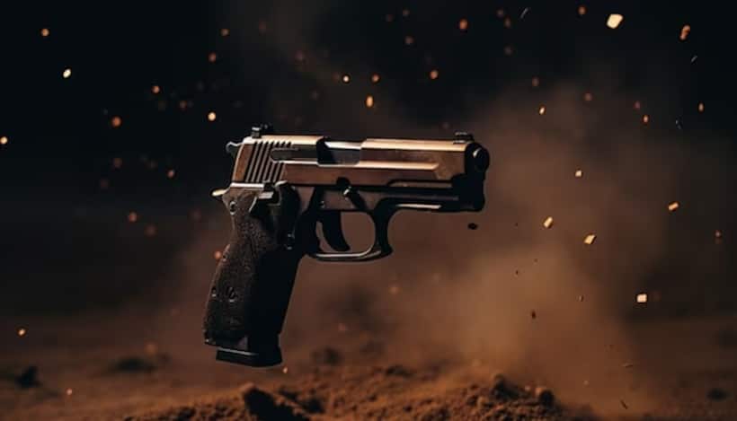 Gun