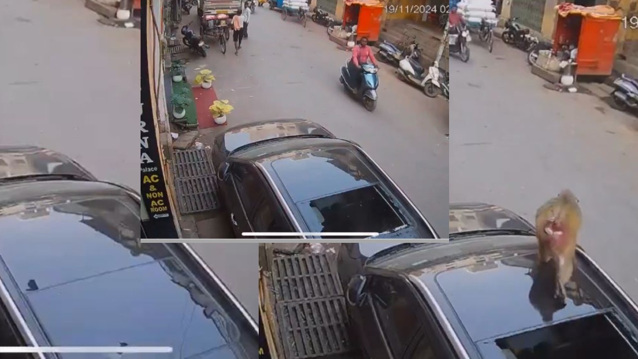 Varanasi Car sunroof broken after monkey fell on car Video goes viral