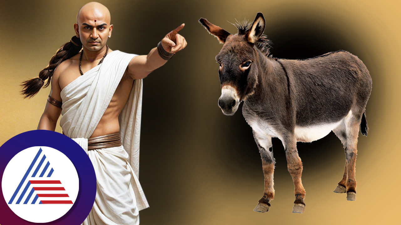 learn these three things from a donkey reads what chanakya niti says suh