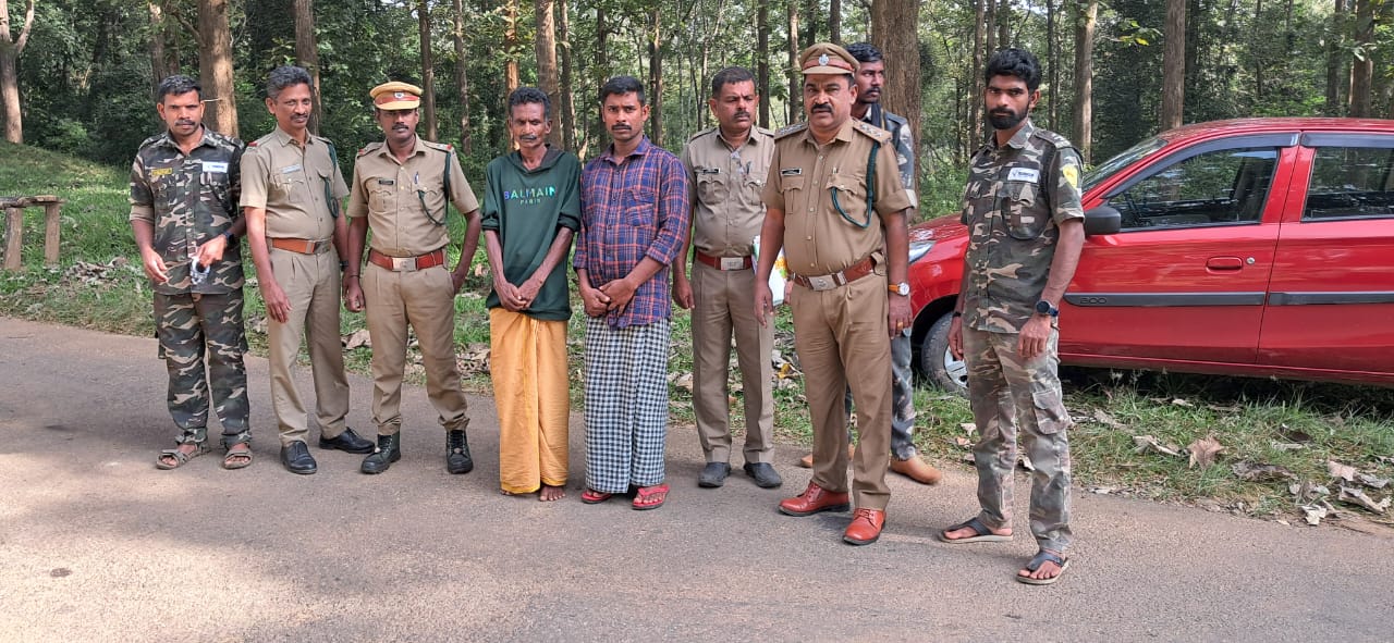 Two more arrested in the case of trying to smuggle sandalwood from Parambikulam tiger sanctuary