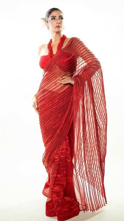 Plain Net Saree Style