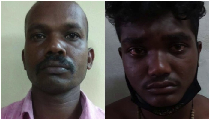 father and son theft cardamom worth three lakh in idukki son arrested 