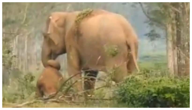 Asianet Image