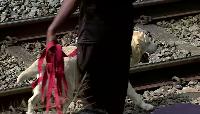 1 Crore and 300 Pavan gold robbery incident; A police dog sniffs the railway tracks and the search continues