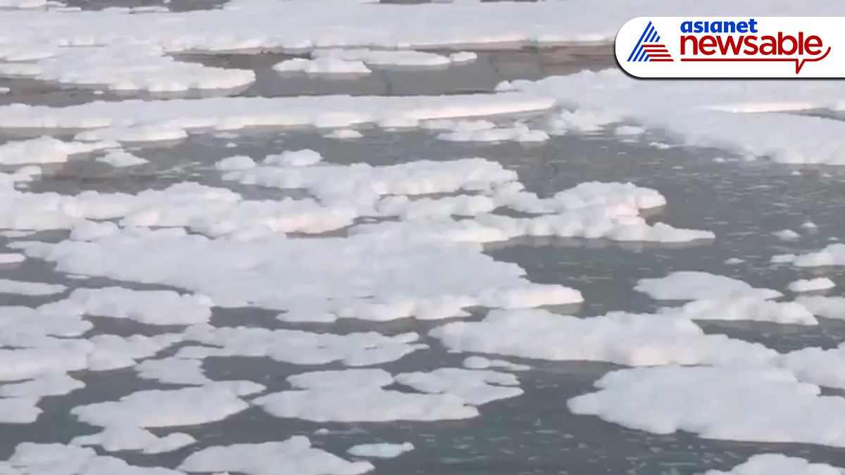 ಯಮುನಾ ನದಿ ನೀರಿಗೆ ವಿಷ ಹಾಕಿ ದೆಹಲಿಗೆ ಕಳಿಸಿದರಾ?: ಹರಿಯಾಣ BJP ಸರ್ಕಾರದ ವಿರುದ್ಧ ಗಂಭೀರ ಆರೋಪ