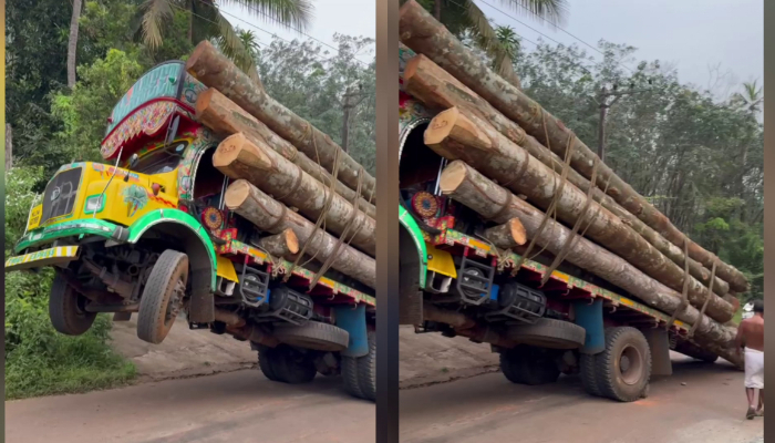  front end of the lorry that carried tree woods lifted up on the hilly road due to overload blocking traffic