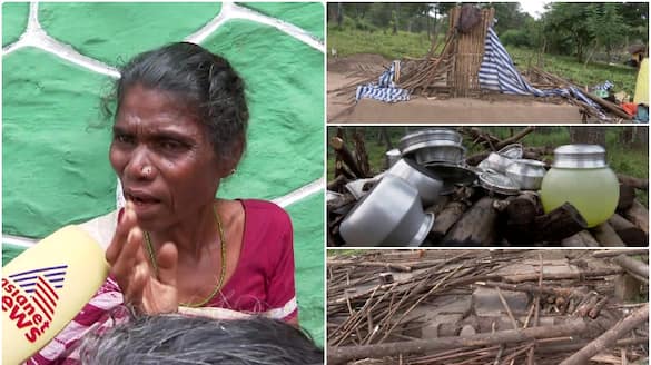 Immediate action will be taken against the officials who demolished the huts of the tribals in wayanad