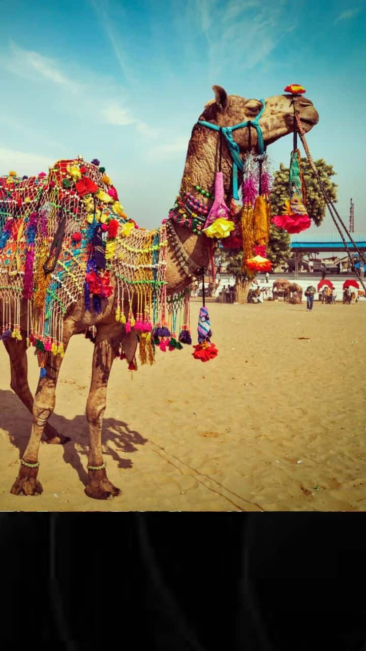 Pushkar The perfect destination in Rajasthan for your winter holidays iwh