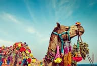 Pushkar The perfect destination in Rajasthan for your winter holidays iwh