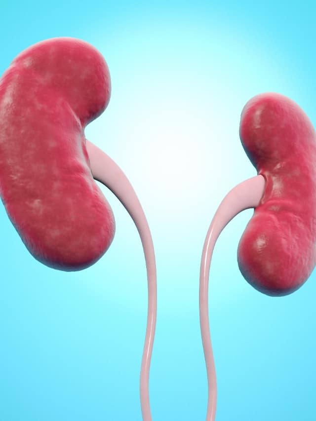 5 Habits Damaging Your Kidneys suh