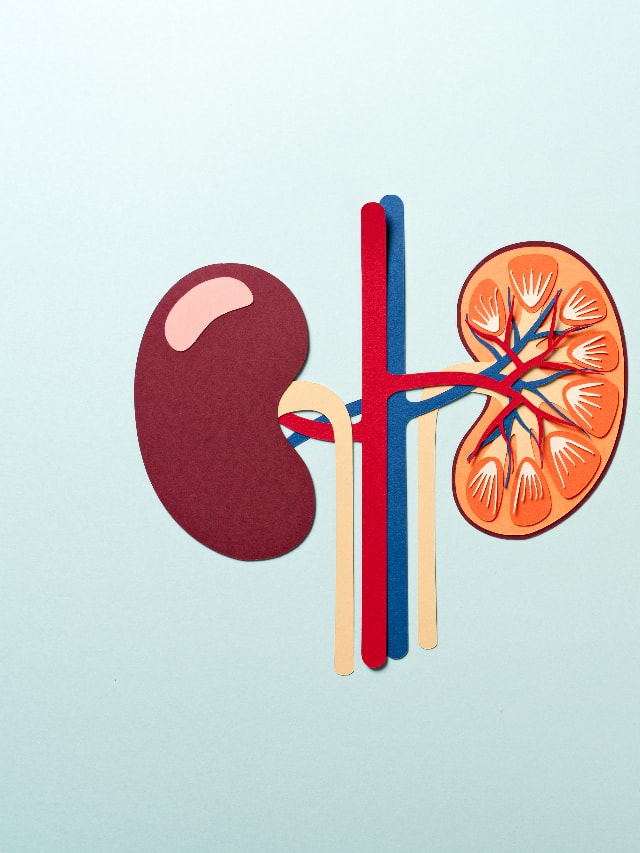 these six habits can damage kidney function