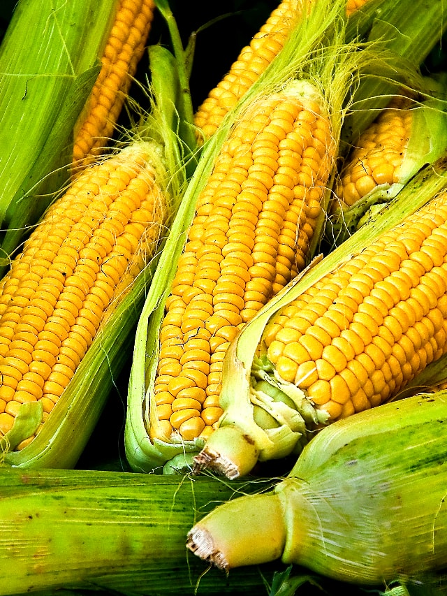 lesser known benefits of adding corn in your daily life taken rav