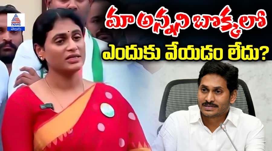 YS Sharmila fire on Jagan