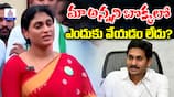 YS Sharmila fire on Jagan