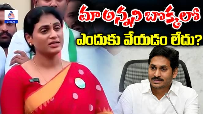 YS Sharmila fire on Jagan