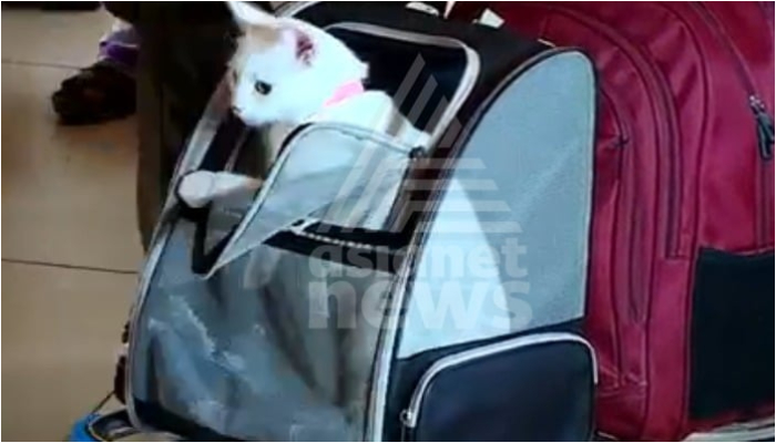 Iva the first pet animal imported from abroad transported through Kochi international airport