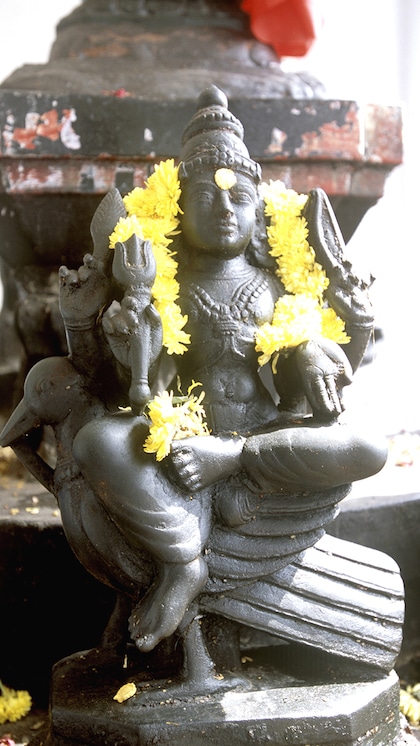 Is Shanishari Amavasya on November 30th?