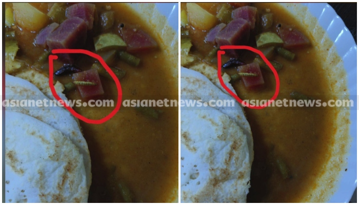 worm found in sambar college hostel food pathanamthitta