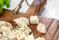 paneer-protein-benefits-raw-vs-cooked