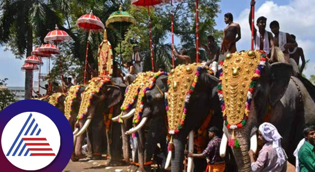 Kerala High Court Hinduism not fragile that it will collapse without elephant for festival san