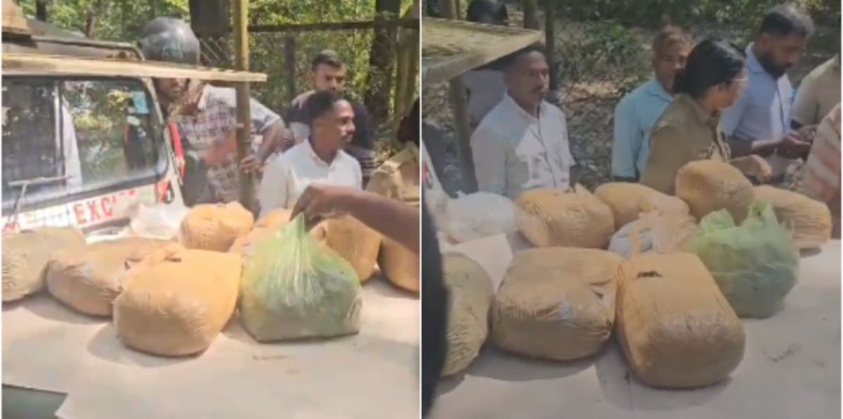 raid at two places in Malappuram after confidential information 35.8 kg of ganja seized and three from Bengal arrested