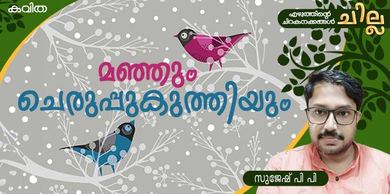 chilla Malayalam poem by Sujesh PP