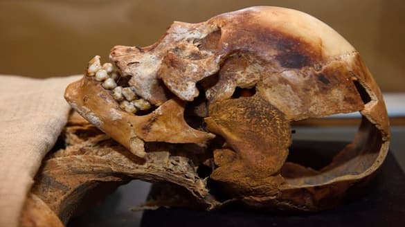 GROUNDBREAKING discovery! New human species with 'giant skulls' that went extinct 200,000 years ago shk