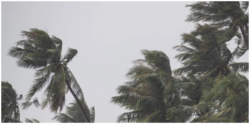 Cyclone Fengal 13 flights canceled schools in 6 districts including Chennai announced holiday tomorrow