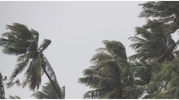 Cyclone Fengal 13 flights canceled schools in 6 districts including Chennai announced holiday tomorrow