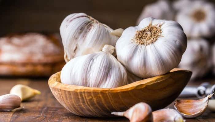 eating raw garlic benefits in winter season ans