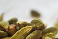 benefits-of-eating-cardamom-daily