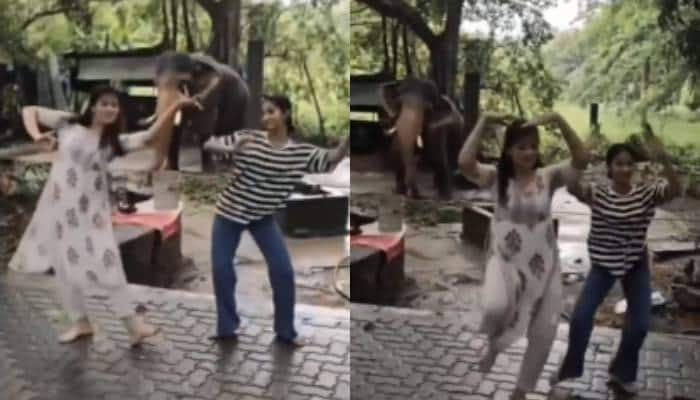 elephant performs Bharathanatyam with girls ifs officer explains the reality of the video 