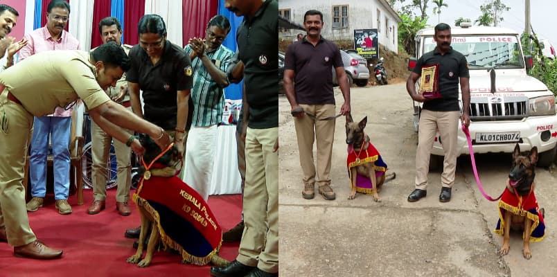 Rare Ceremony Belgian Malinois Dogs Angel and Maggie Honored for Rescue Efforts and Ability to Detect Explosives