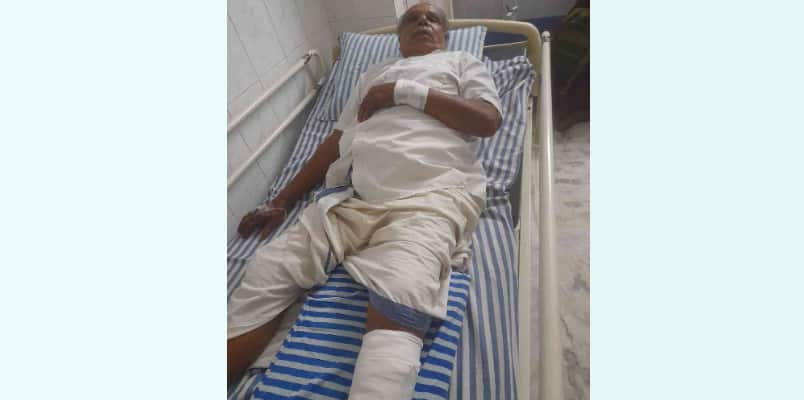 wild boar attack in alappuzha 75 year old man gets severe injury 