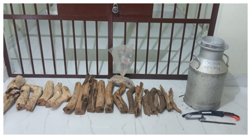 forest department raid house and found sandalwood 