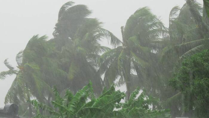 കനത്ത മഴ, പാലക്കാടും അവധി; സംസ്ഥാനത്തെ 10 ജില്ലകളിലെ വിദ്യാഭ്യാസ സ്ഥാപനങ്ങള്‍ക്ക് അവധി
