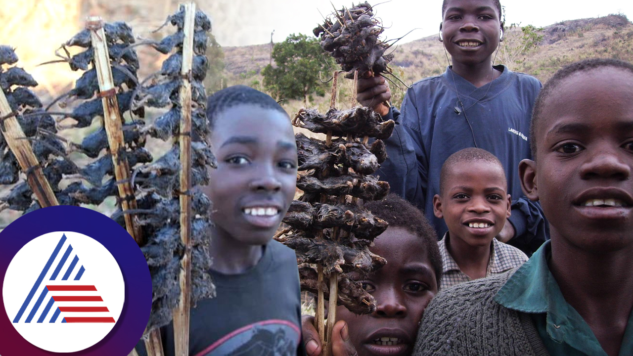 african people eating Fried Rat roo