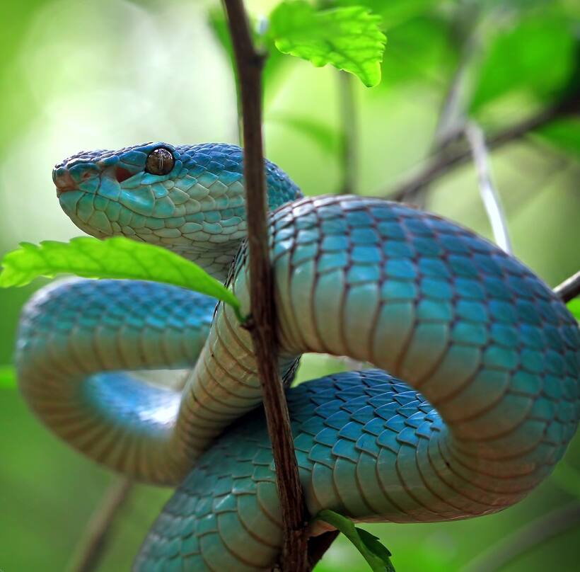 Asianet Image