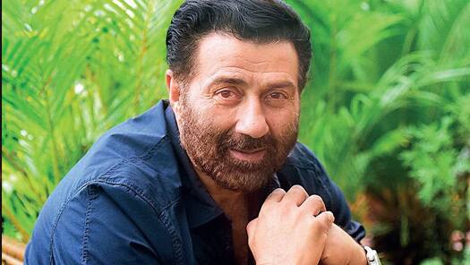 Sunny Deol Movies
