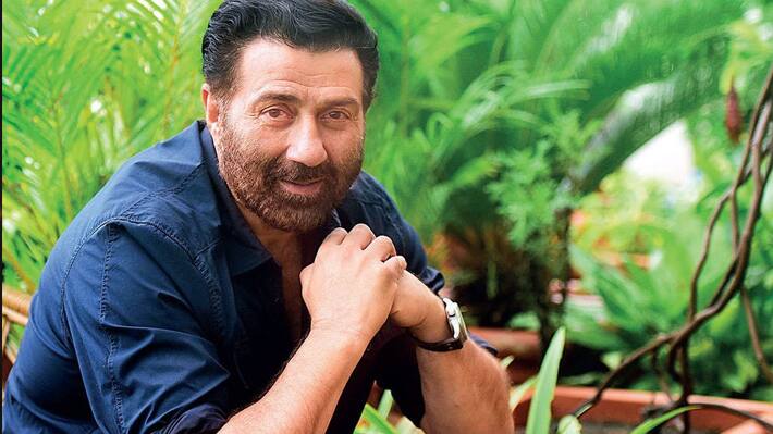 Sunny Deol Movies