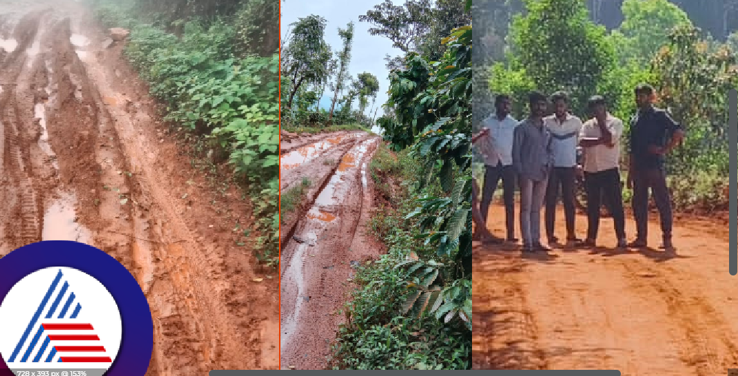 Cyclone Fengal effect on karnataka kodagu coffee growers rav