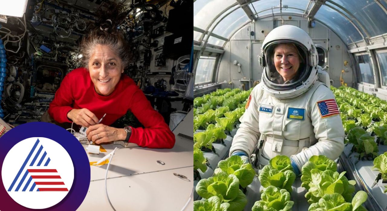 Nasa astronaut Sunita Williams farming lettuce in space Its not for eating san