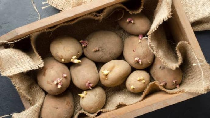 ban on the supply of potatoes