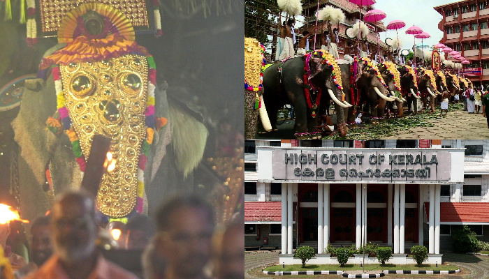 highcourt warning to cochin devaswam on elephant case