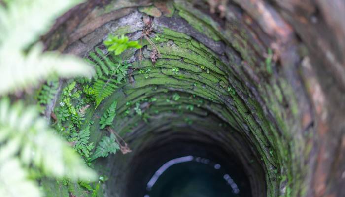 man fell into well trapped for three days villagers mistook his shouting for haunting in Thailand 