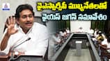 YS Jagan Mohan Reddy Meeting on YSRCP Members